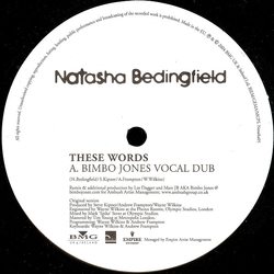 Natasha Bedingfield These Words (Bimbo Jones Mixes) Vinyl 12" USED