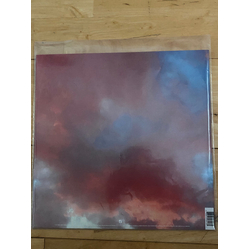 30 Seconds To Mars It's The End Of The World But It's A Beautiful Day Vinyl LP USED
