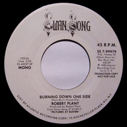 Robert Plant Burning Down One Side Vinyl 7" USED