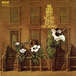 New Birth Ain't No Big Thing, But It's Growing Vinyl LP USED