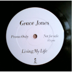 Grace Jones Living My Life Vinyl 12" USED