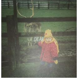 Cavetown Dear. Vinyl 12" USED