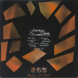 Dreamlogicc / SW. Seny Vinyl 12" USED