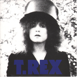 T. Rex Telegram Sam / Metal Guru Vinyl 7" USED