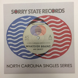 Whatever Brains An Object Vinyl 7" USED