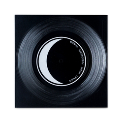 Zoomo Night Flexi-disc USED