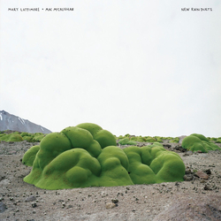 Mary Lattimore / Mac McCaughan New Rain Duets Vinyl LP USED