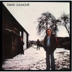 David Gilmour David Gilmour Vinyl LP USED