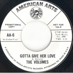 The Volumes Gotta Give Her Love / I Can't Live Without You Vinyl 7" USED