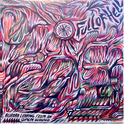 Full Of Hell Aurora Leaking From An Open Wound Vinyl 7" USED