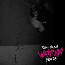 Wastoids Dangerous Spaces USED VINYL 7INCH 45 RPM EP