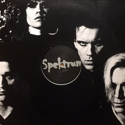 Spektrum Kinda New (Tiefschwarz Mixes) Vinyl 12" USED