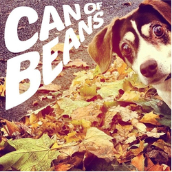 Can Of Beans Can Of Beans Vinyl LP USED
