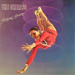 The Sherbs Defying Gravity Vinyl LP USED