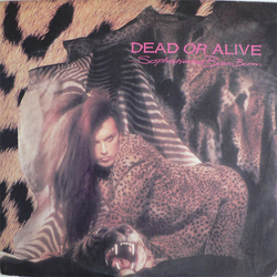 Dead Or Alive Sophisticated Boom Boom Vinyl LP USED