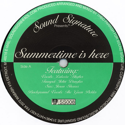 Theo Parrish Summertime Is Here Vinyl 12" USED