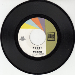 Twinkle (3) Terry / The Boy Of My Dreams Vinyl 7" USED