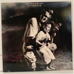 David Lasley Raindance Vinyl LP USED