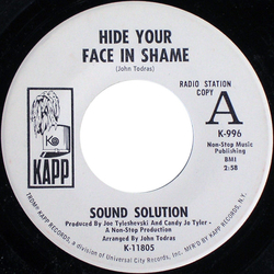The Sound Solution Hide Your Face In Shame / Ken's Blues Vinyl 7" USED