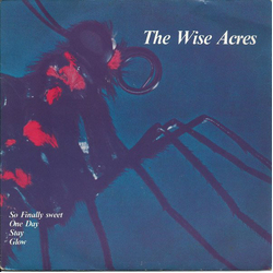 The Wiseacres So Finally Sweet Vinyl 7" USED