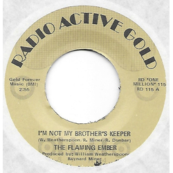 Flaming Ember I'm Not My Brothers Keeper Vinyl 7" USED