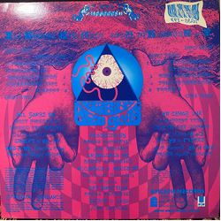 The Seeing Eye Gods The Seeing Eye Gods Vinyl 12" USED