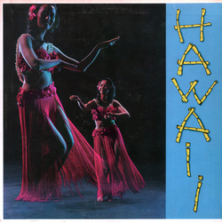 The Surfmen Hawaii Vinyl LP USED
