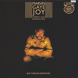 Marvin Gaye Joy (Parts 1 & 2) Ecstatic Mix / Turn On Some Music Vinyl 12" USED