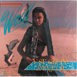 Victor Waill Y Su Grupo Panela Diptongo De Amor Vinyl 12" USED