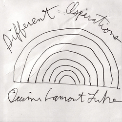Quinn Luke Different Aspirations Vinyl 12" USED