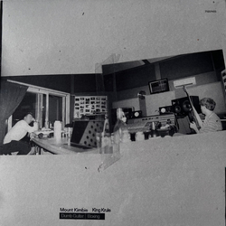 Mount Kimbie Dumb Guitar / Boxing Vinyl 7" USED