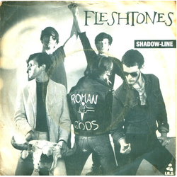 The Fleshtones Shadow-Line Vinyl 7" USED