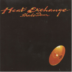 Heat Exchange Shake Down Vinyl 7" USED