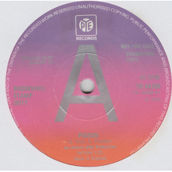 Brownhill Stamp Duty Pigeon Vinyl 7" USED