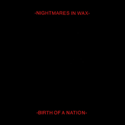 Nightmares In Wax Birth Of A Nation Vinyl 7" USED