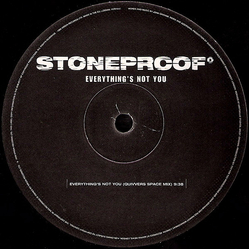 Stoneproof Everything's Not You Vinyl 12" USED