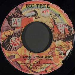 Hot Angel In Your Arms Vinyl 7" USED