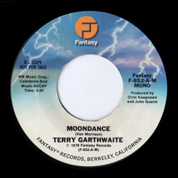 Terry Garthwaite Moondance Vinyl 7" USED