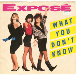 Exposé What You Don't Know Vinyl 7" USED