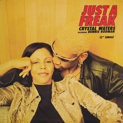 Crystal Waters / Dennis Rodman Just A Freak Vinyl 12" USED