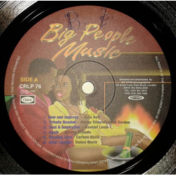 Various Big People Music Volume 3 Vinyl LP USED