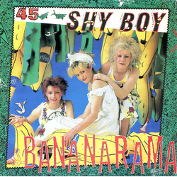 Bananarama Shy Boy Vinyl 7" USED