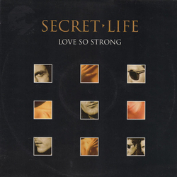 Secret Life Love So Strong Vinyl 12" USED