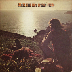 Ray Burton (2) / Gino Cunico Strive, Seek, Find Vinyl LP USED