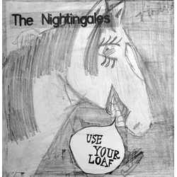 The Nightingales Use Your Loaf Vinyl 7" USED