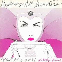 Destroy All Monsters What Do I Get / Nobody Knows Vinyl 7" USED
