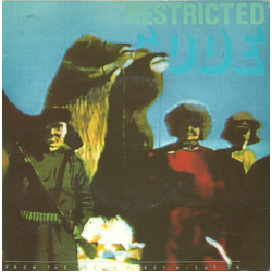 Restricted Code First Night On / From The Top Vinyl 7" USED