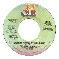 Keane Brothers Amy (Show The World You're There) Vinyl 7" USED