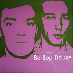 Be Bop Deluxe Panic In The World Vinyl 12" USED