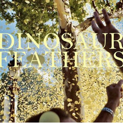 Dinosaur Feathers Whistle Tips Vinyl LP USED
